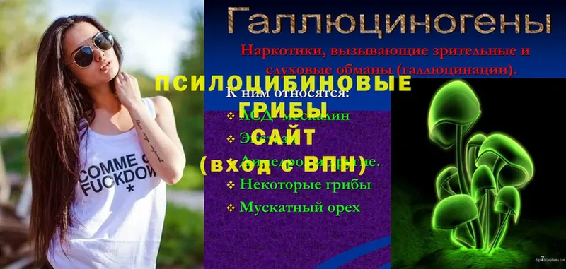 Псилоцибиновые грибы мухоморы  MEGA ссылки  Собинка  где можно купить наркотик 